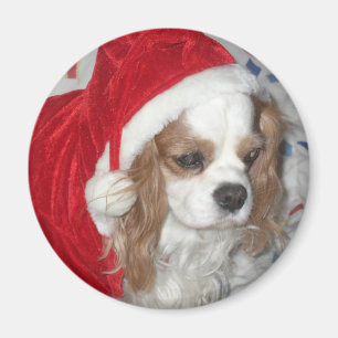 CAVALIER KING CHARLES SPANIEL HUND MIT WEIHNACHTSM MAGNET