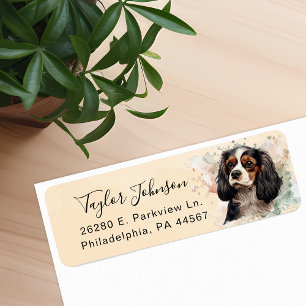 Cavalier King Charles Spaniel Hund Rücksendeadress