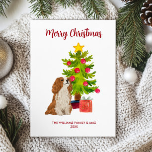 Cavalier King Charles Spaniel Hund Weihnachten