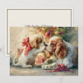 Cavalier King Charles Spaniel Hunde Weihnachten  (Vorne/Hinten)