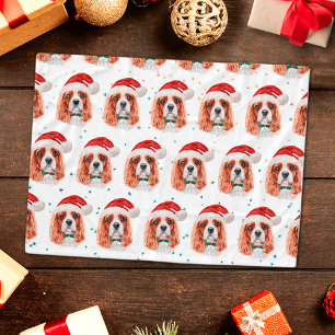 Cavalier King Charles Spaniel Hundezucht Weihnacht Fleecedecke