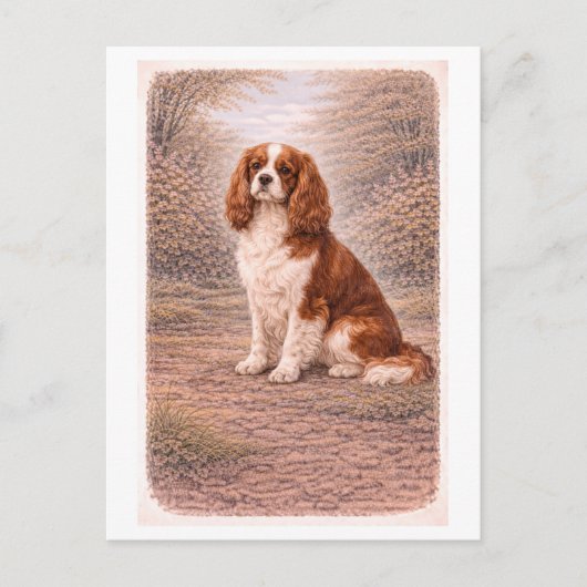 Cavalier King Charles Spaniel im Vintage-Stil Postkarte (Vorderseite)