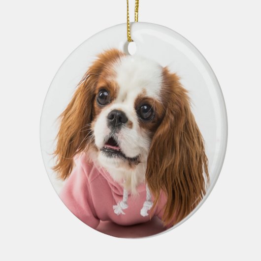 Cavalier King Charles Spaniel in Pink Jacket Keramik Ornament (Links)
