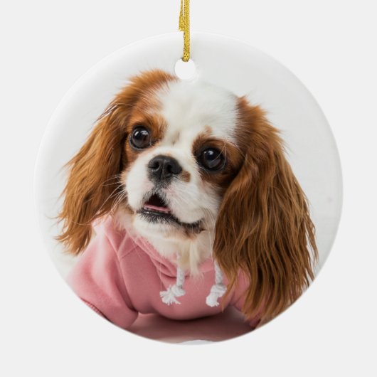Cavalier King Charles Spaniel in Pink Jacket Keramik Ornament (Hinten)
