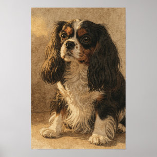 Cavalier King Charles Spaniel in Tinte und Leinen Poster