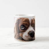 Cavalier king charles spaniel kaffeetasse (Mittel)