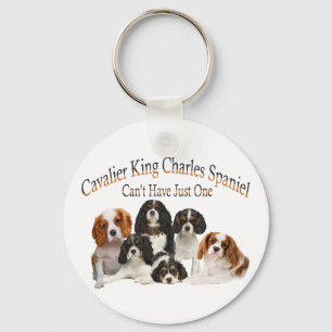 Cavalier King Charles Spaniel kann nicht nur einen Schlüsselanhänger