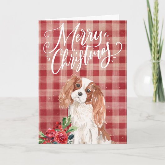 Cavalier King Charles Spaniel Karierte Weihnachten (Vorderseite)