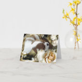 Cavalier King Charles Spaniel Karte (Gelbe Blume)