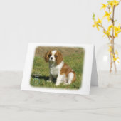 Cavalier King Charles Spaniel Karte (Gelbe Blume)