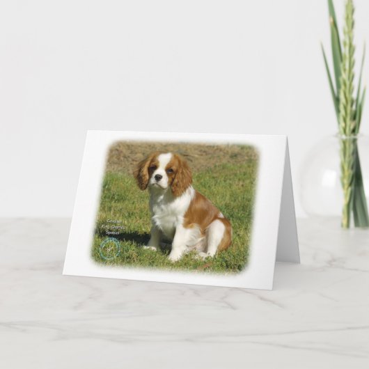 Cavalier King Charles Spaniel Karte (Vorderseite)