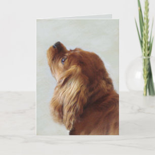Cavalier King Charles Spaniel Karte