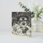 Cavalier King Charles Spaniel Kauknochen Postkarte (Stehend Vorderseite)
