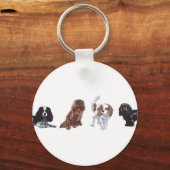 cavalier King Charles Spaniel keyring, Schlüsselan Schlüsselanhänger (Vorderseite)