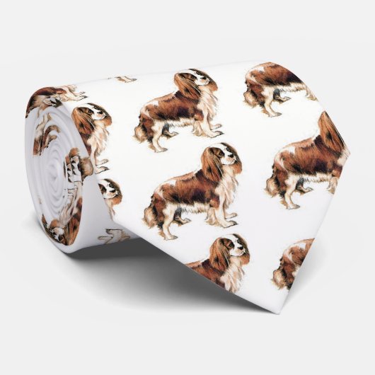 Cavalier King Charles Spaniel Krawatte (Gerollt)
