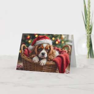 Cavalier King Charles Spaniel Kuschelkorb Karte