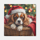 Cavalier King Charles Spaniel Kuschelkorb Magnet (Vorne)