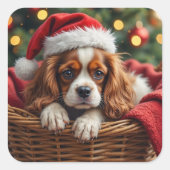 Cavalier King Charles Spaniel Kuschelkorb Quadratischer Aufkleber (Vorderseite)