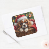 Cavalier King Charles Spaniel Kuschelkorb Quadratischer Aufkleber (Umschlag)
