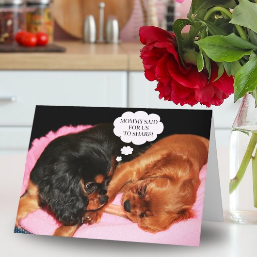 Cavalier King Charles Spaniel Lass uns teilen Karte