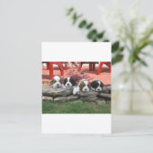 Cavalier King Charles Spaniel Litter Postkarte (Stehend Vorderseite)