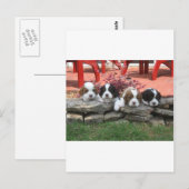 Cavalier King Charles Spaniel Litter Postkarte (Vorne/Hinten)
