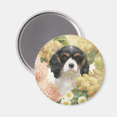 Cavalier King Charles Spaniel Magnet (Vorderseite/Rückseite)