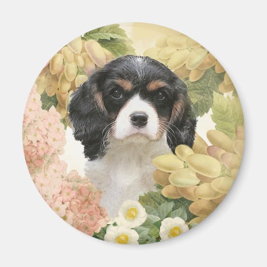 Cavalier King Charles Spaniel Magnet (Vorne)