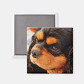 Cavalier King Charles Spaniel Magnet (Vorderseite/Rückseite)