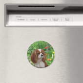 Cavalier King Charles Spaniel Magnet (In Situ (Geschirrspüler))