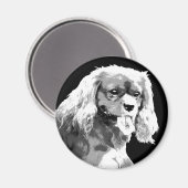 Cavalier king charles spaniel magnet (Vorderseite/Rückseite)
