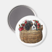 Cavalier King Charles Spaniel Magnet (Vorderseite/Rückseite)