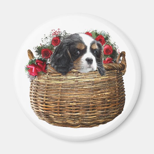 Cavalier King Charles Spaniel Magnet (Vorne)