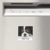 Cavalier King Charles Spaniel Magnet Tri (In Situ (Geschirrspüler))