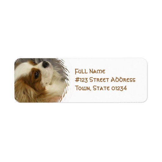 Cavalier King Charles Spaniel Mailing Label (Vorne)