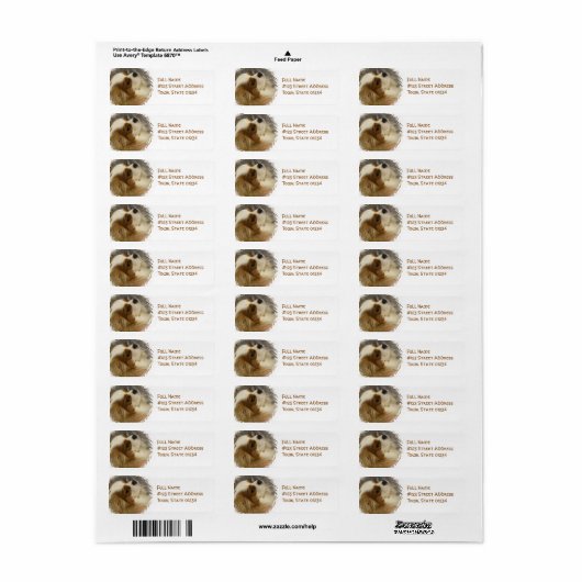 Cavalier King Charles Spaniel Mailing Label (Vorne)