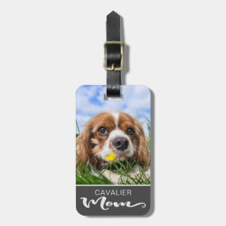 Cavalier King Charles Spaniel Mama Dog's Foto Gepäckanhänger