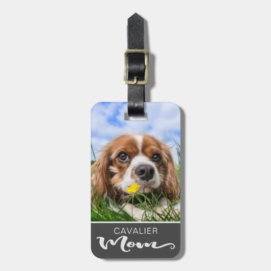 Cavalier King Charles Spaniel Mama Dog's Foto Gepäckanhänger (Vorderseite vertikal)