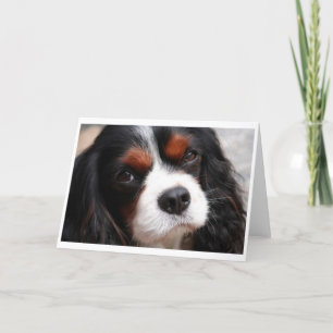 Cavalier King Charles Spaniel Mama Karte