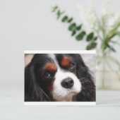 Cavalier King Charles Spaniel Mama Postkarte (Stehend Vorderseite)