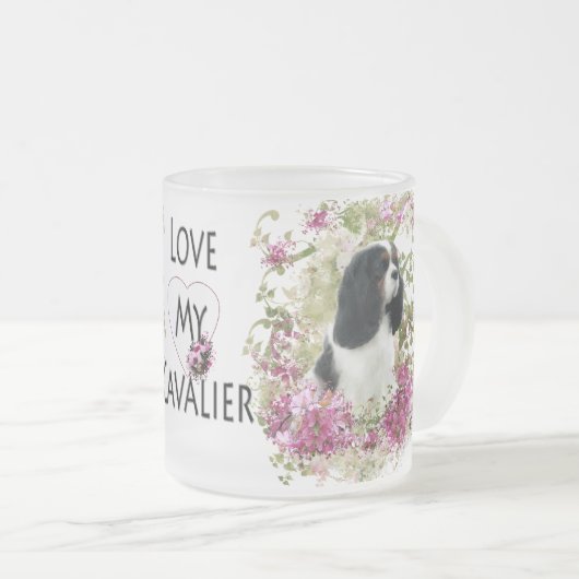 Cavalier King Charles Spaniel Mattglastasse (VorderseiteRechts)
