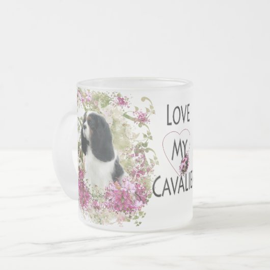 Cavalier King Charles Spaniel Mattglastasse (Vorderseite Links)