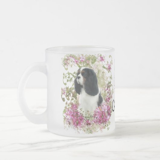 Cavalier King Charles Spaniel Mattglastasse (Links)