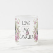 Cavalier King Charles Spaniel Mattglastasse (Mittel)