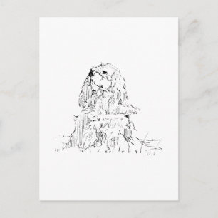 Cavalier King Charles Spaniel, Minimalistische Kun Postkarte