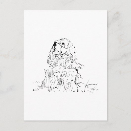 Cavalier King Charles Spaniel, Minimalistische Kun Postkarte (Vorderseite)