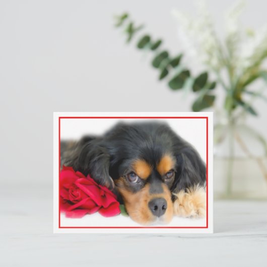 Cavalier King Charles Spaniel mit einer Rose Postk Postkarte (Stehend Vorderseite)