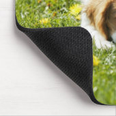 Cavalier King Charles Spaniel Mousepad (Ecke)