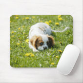 Cavalier King Charles Spaniel Mousepad (Mit Mouse)