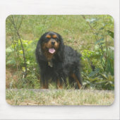 Cavalier King Charles Spaniel Mousepad (Vorne)